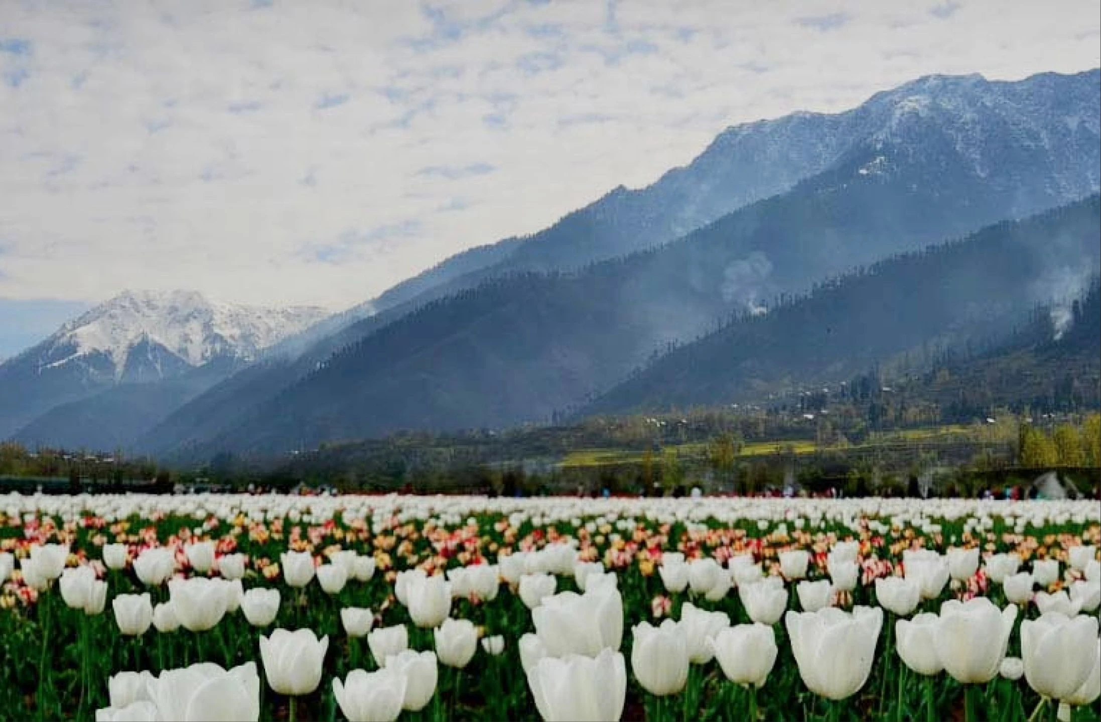 Kashmir Kashmir